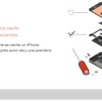 Back Market lance l'opération Panda Phone en partenariat avec le WWF France. © Courtesy of Back Market Back Market Panda Phone